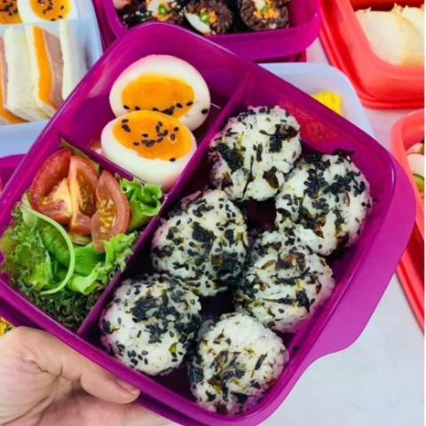 Hộp Cơm Tupperware Lolly Tup Màu Mới 2023