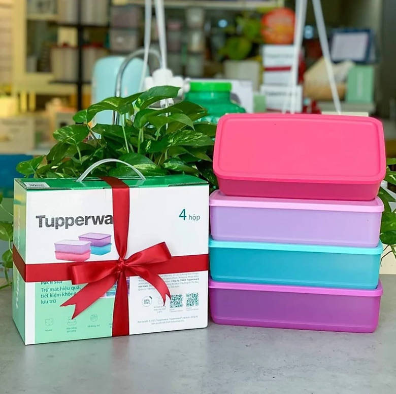 Bộ 4 Hộp Tupperware Bảo Quản Thực Phẩm Pak N Stor - Tupperware Chính Hãng