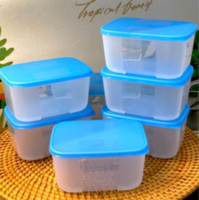 Tuptrung - Hộp đông 300ml - thân trong nắp xanh basic