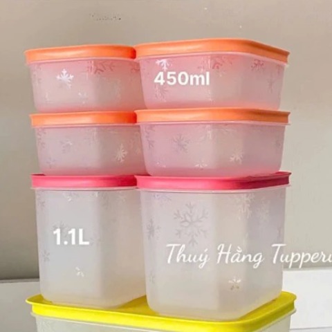 Bộ 6 Hộp Tupperware Trữ Đông  4 Hộp 450ml+2 Hộp 1.1L - Nắp Cam - Thân Trong Bông Tuyết  - Tupperware Trung Chính Hãng