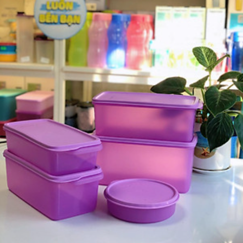 Combo Trọn Bộ Hộp Tupperware Bảo Quản Thực Phẩm Ngăn Mát Freshia Màu tím (5 Hộp)