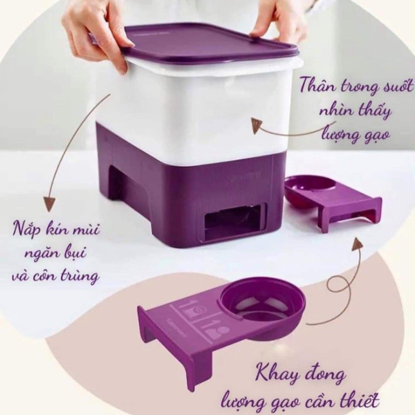 Combo Bộ Hộp Tupperware Bảo Quản Thực Phẩm One Touch Fresh 5 Hộp và Thùng Gạo Rice Smart Junior 5kg