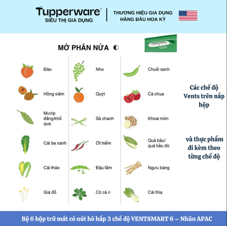 Combo Trọn Bộ Hộp Trữ Mát Tupperware Có Nút Hô Hấp VENTSMART 6 – Nhãn APAC