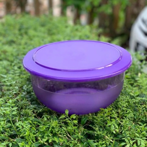 Hộp Tô Tròn Tupperware Tím Original JoyServe Bowl Medium 2.5L - Tupperware  Malaysia Chính Hãng