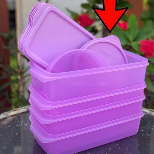 Combo Trọn Bộ Hộp Tupperware Bảo Quản Thực Phẩm Ngăn Mát Freshia Màu tím (5 Hộp)