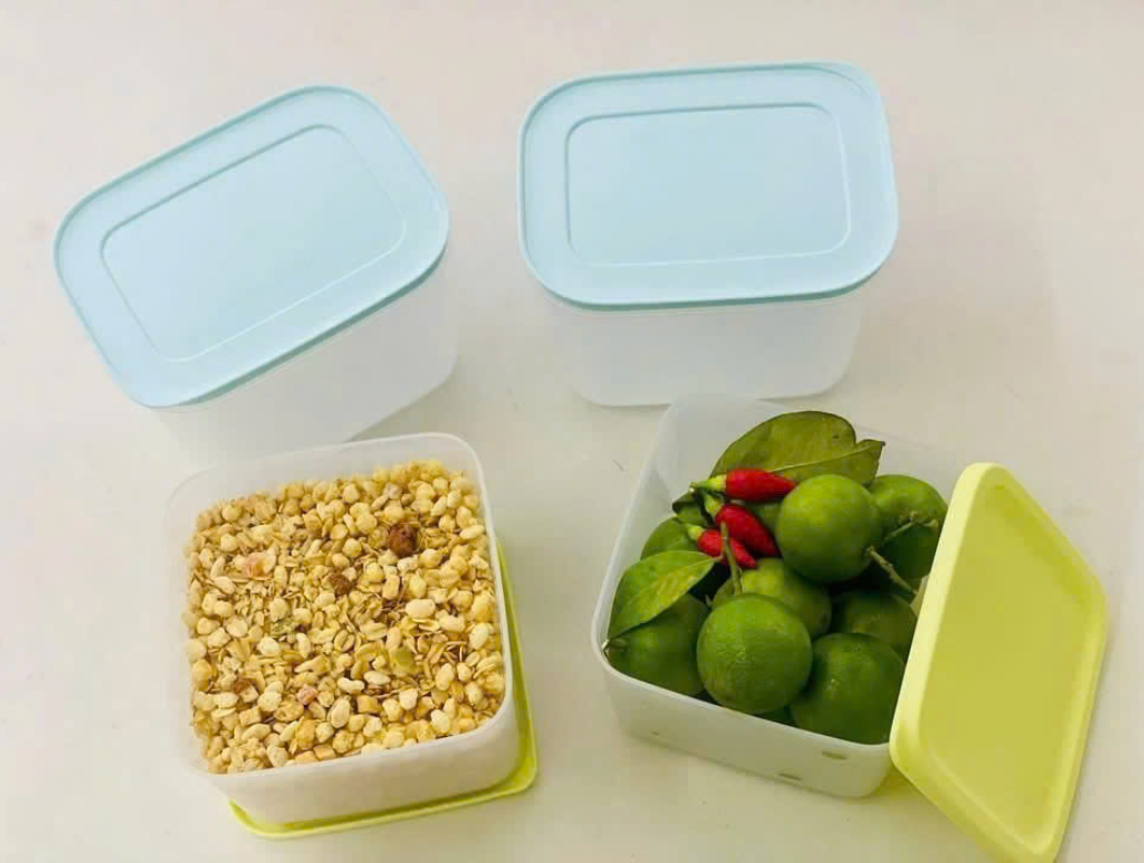 Bộ 4 Hộp Tupperware Trrữ Đông/Mát Starter Set II - New Tupperware Chính Hãng