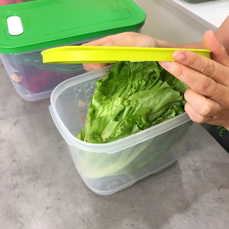 Combo Trọn Bộ Hộp Trữ Mát Tupperware Có Nút Hô Hấp VENTSMART 6 – Nhãn APAC