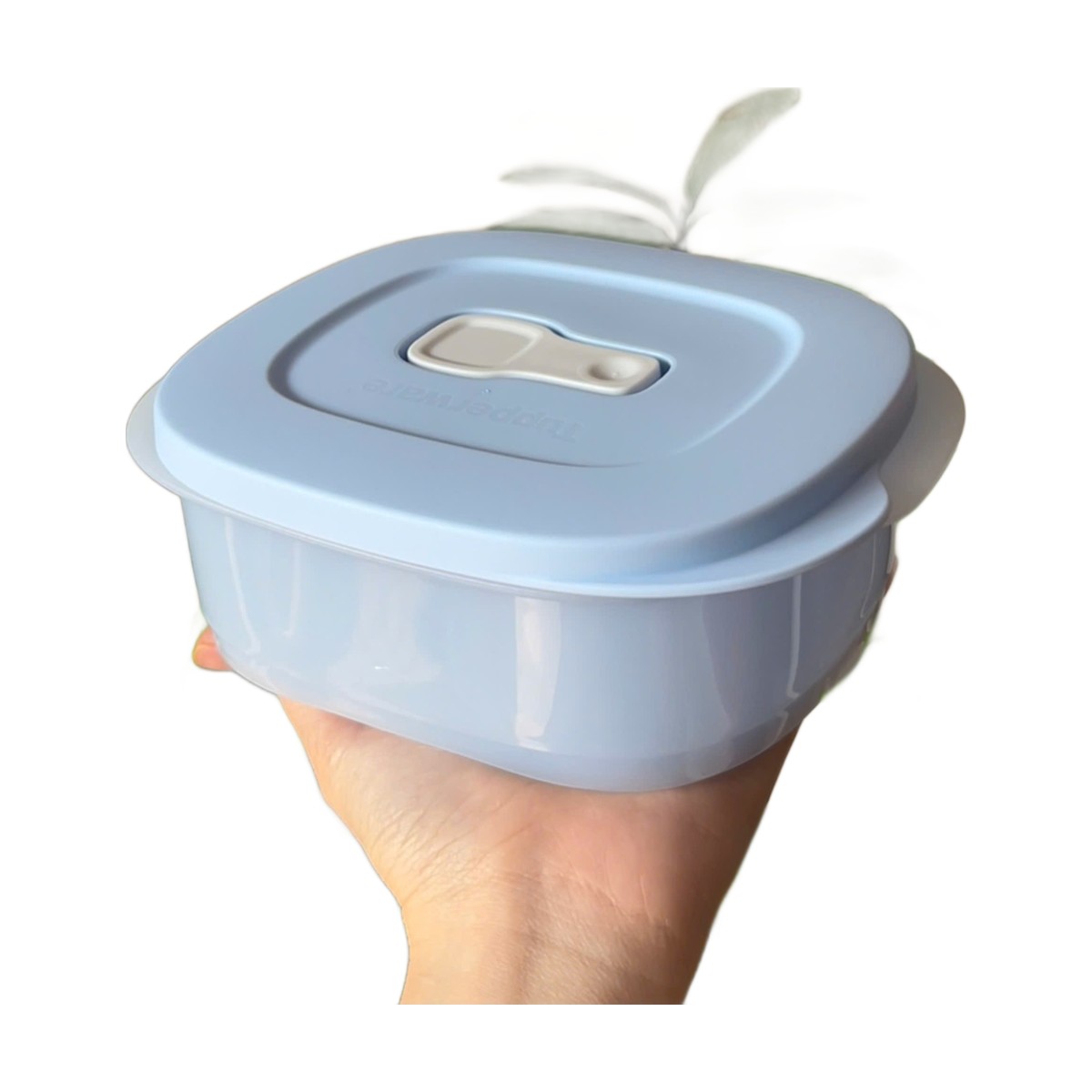 Hộp Tupperware Dùng Lò Vi Sóng 500ml