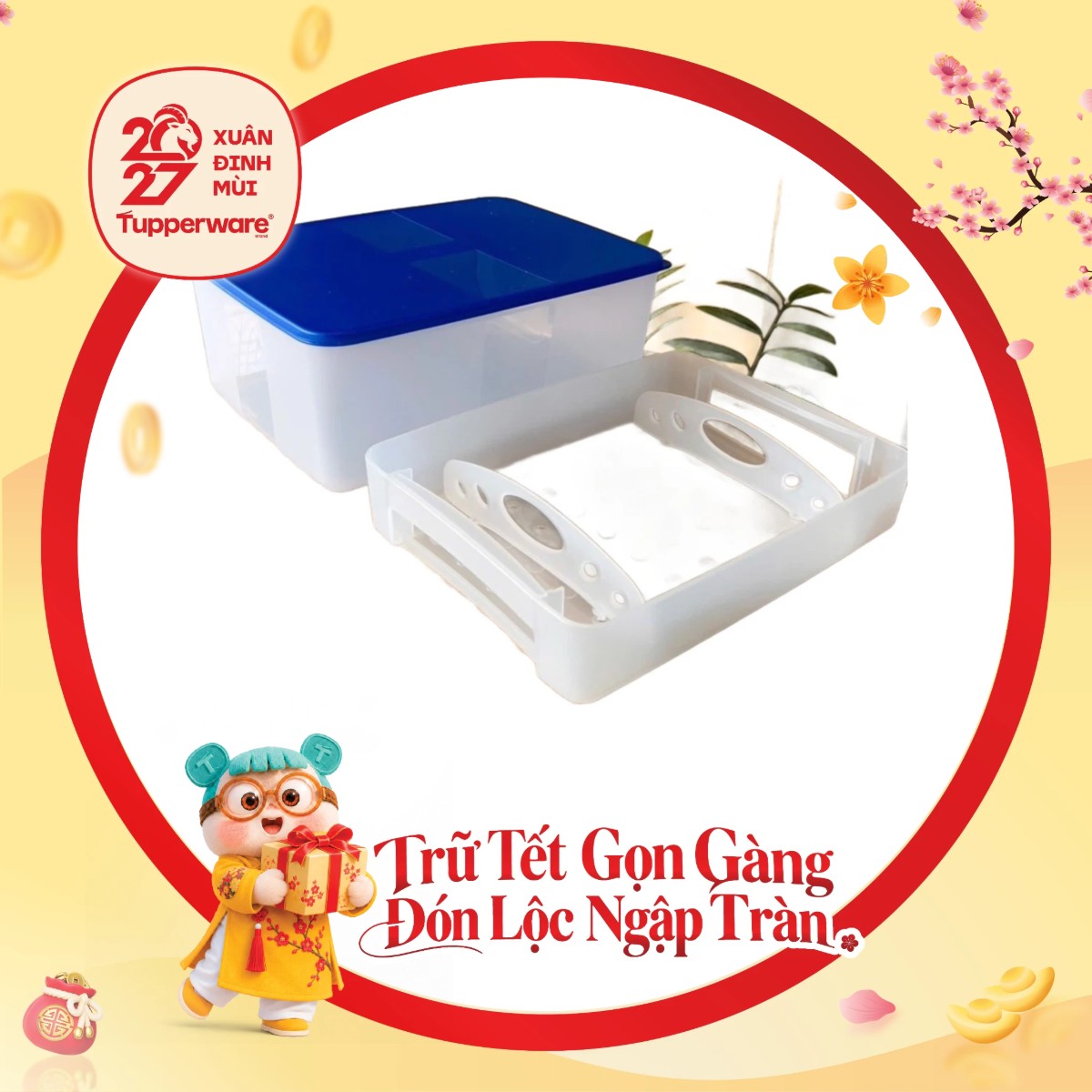 Hộp Trữ Đông Tupperware 5.7L Có Khay Lót Đáy