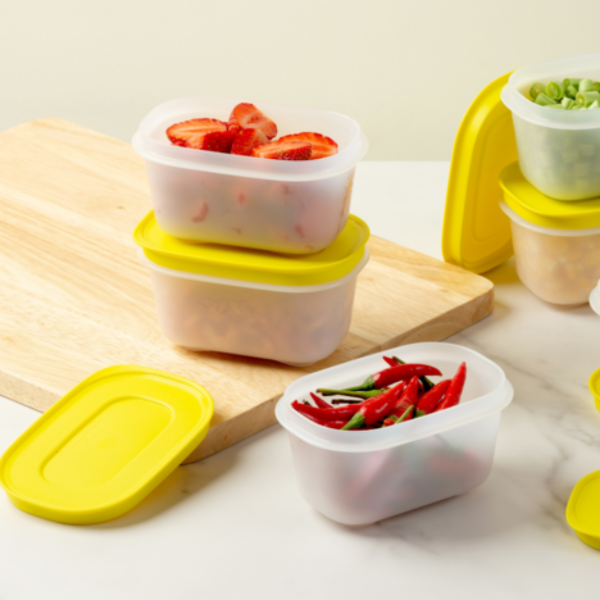 1/2 Bộ Hộp Tupperware Trữ Đông Mini Freezermate Gen II 170ml (3 Hộp)