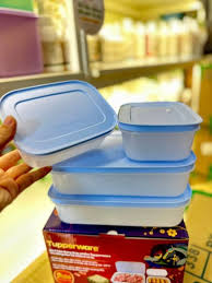 Bộ 4 Hộp Tupperware Trữ Đông Gen II (2 hộp 450ml và 2 hộp 1L) - Đông Dẻo Cao Cấp -  New Tupperware