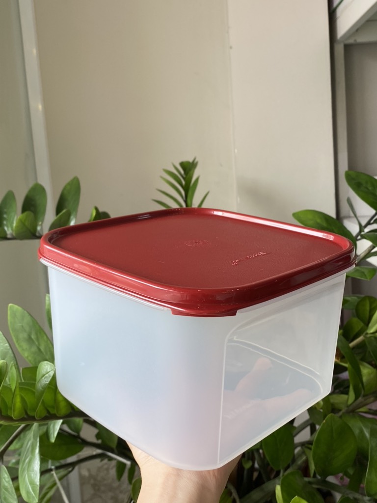 Hộp Tupperware Trữ Khô Modular Mates Oval Cranberry - Hộp Khô Nắp Đỏ