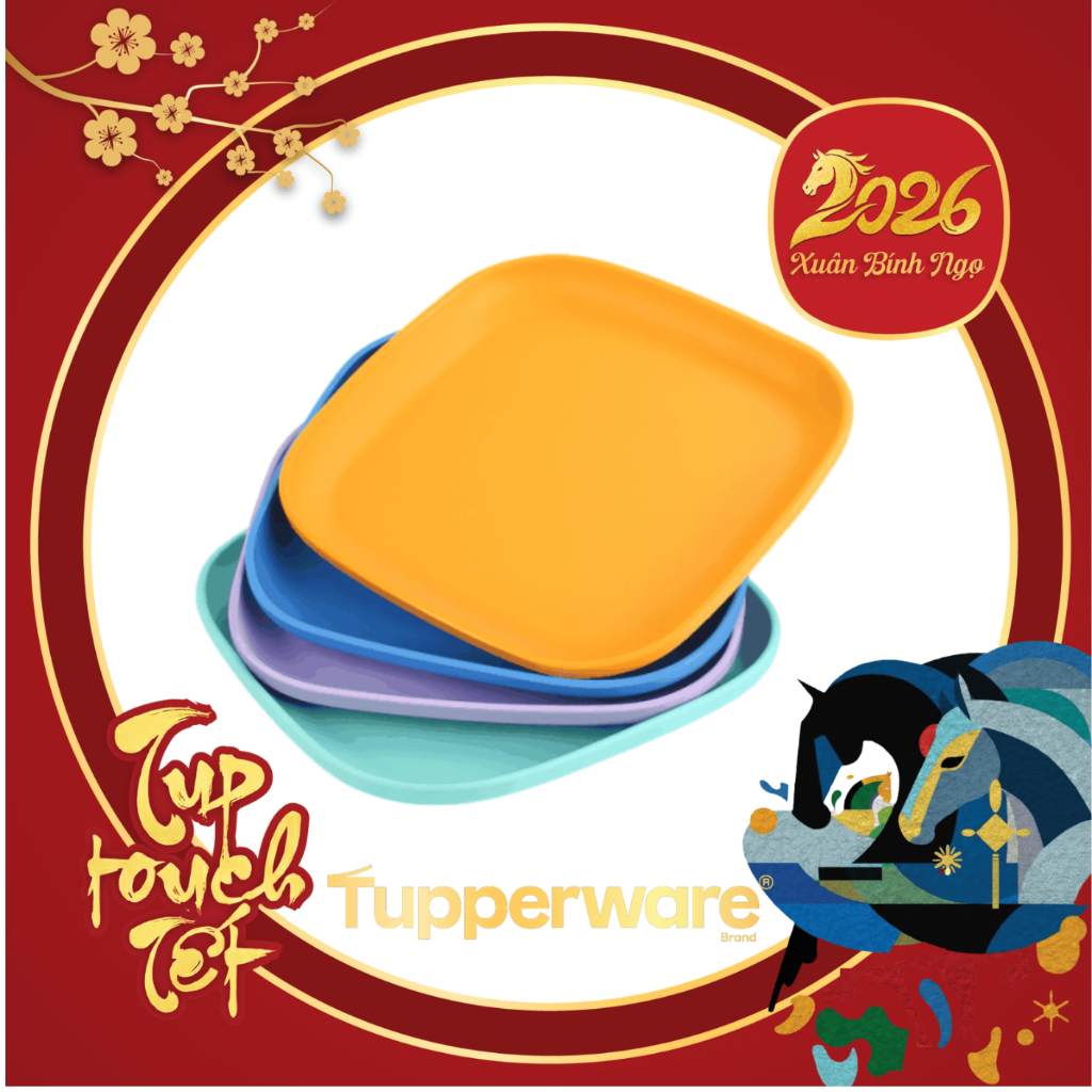 Combo Bộ Đĩa Tupperware Vuông 20cm -  4 Màu - Năm 2025 - Tupperware Trung Chính Hãng