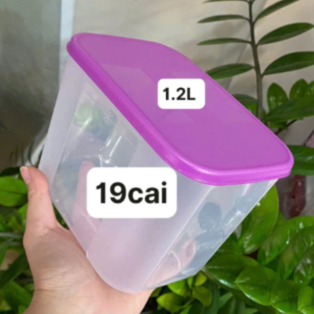 Hộp Tupperware Trữ Đông - Nắp Tím 1.2L - Tupperware Malaysia Chính Hãng