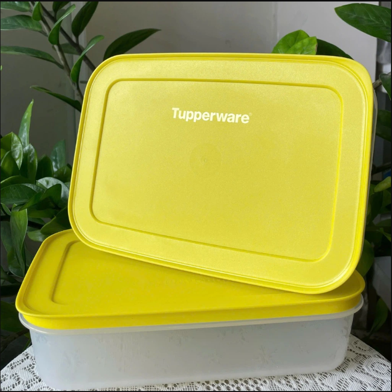 Bộ 6 Hộp Tupperware Trữ Đông 2h 450ml 2h 1.1L, 1h 1L & 1h 2.5L - Đông Thân Trong Bông Tuyết - Tupperware Trung Chính Hãng