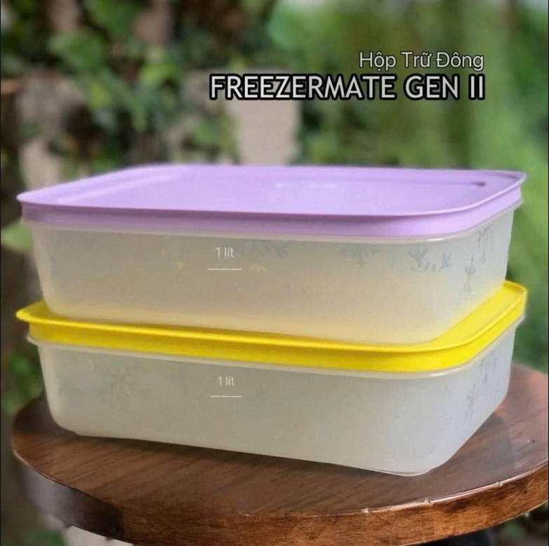 Bộ 6 Hộp Tupperware Trữ Đông 2h 450ml 2h 1.1L, 1h 1L & 1h 2.5L - Đông Thân Trong Bông Tuyết - Tupperware Trung Chính Hãng