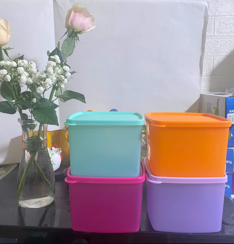 Bộ 4 HộpTupperware Trữ Mát 840ml -  Màu 2025 - Tupperware Trung Chính Hãng