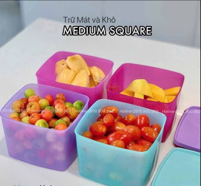 Bộ 4 HộpTupperware Trữ Mát 840ml -  Màu 2025 - Tupperware Trung Chính Hãng
