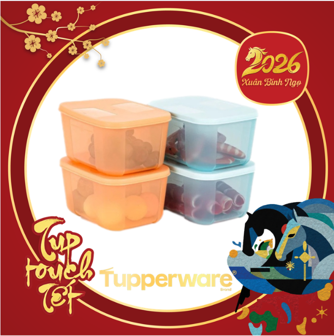 Set 4 Hộp Tuptrung 650ml Basic Thân Màu (4 Hộp)
