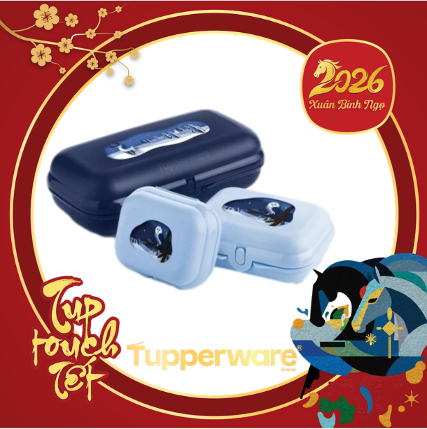 Bộ 3 Hộp Tupperware Oyester - Đựng Humberger, Snack Màu Xanh  - Tupperware Malaysia Chính Hãng