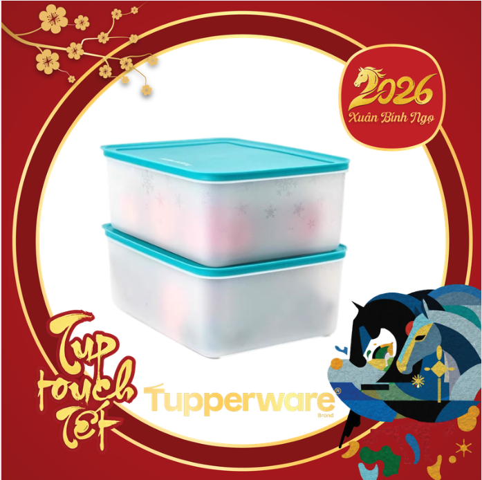 Bộ hộp trữ đông Tupperware Freezermate Gen II 5.7L (01 Hộp)
