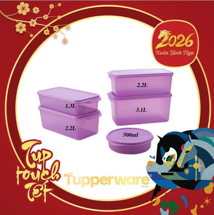 Combo Trọn Bộ Hộp Tupperware Bảo Quản Thực Phẩm Ngăn Mát Freshia Màu tím (5 Hộp)