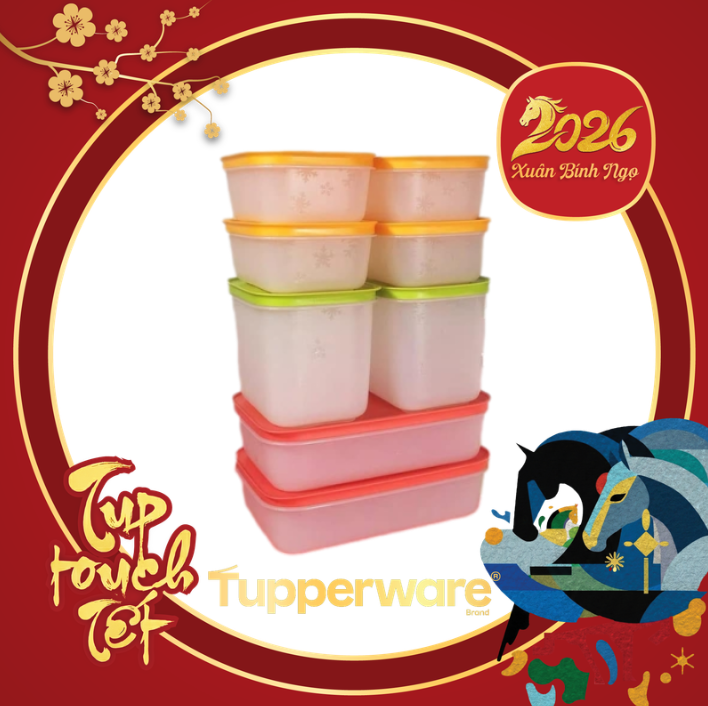 Combo Tuptrung Set Đông Dẻo 8 Hộp Nhiều Màu