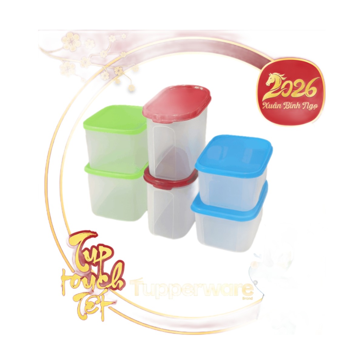 Bộ 6 Hộp Trữ Đông, Mát, Khô Tupperware Mix