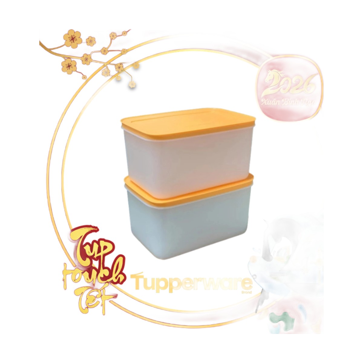 Hộp Trữ Đông Tupperware Đông Dẻo 2.5L - Nắp Cam