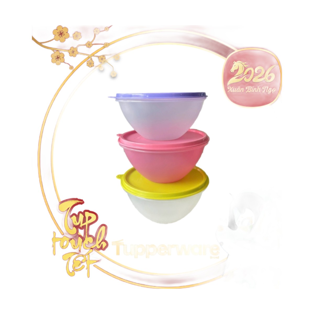 Tô Tupperware 800ml