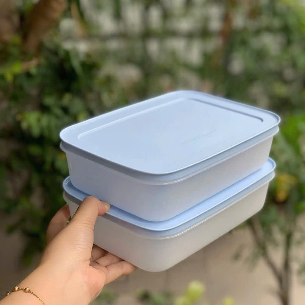 Bộ 4 Hộp Tupperware Trữ Đông Gen II (2 hộp 450ml và 2 hộp 1L) - Đông Dẻo Cao Cấp -  New Tupperware