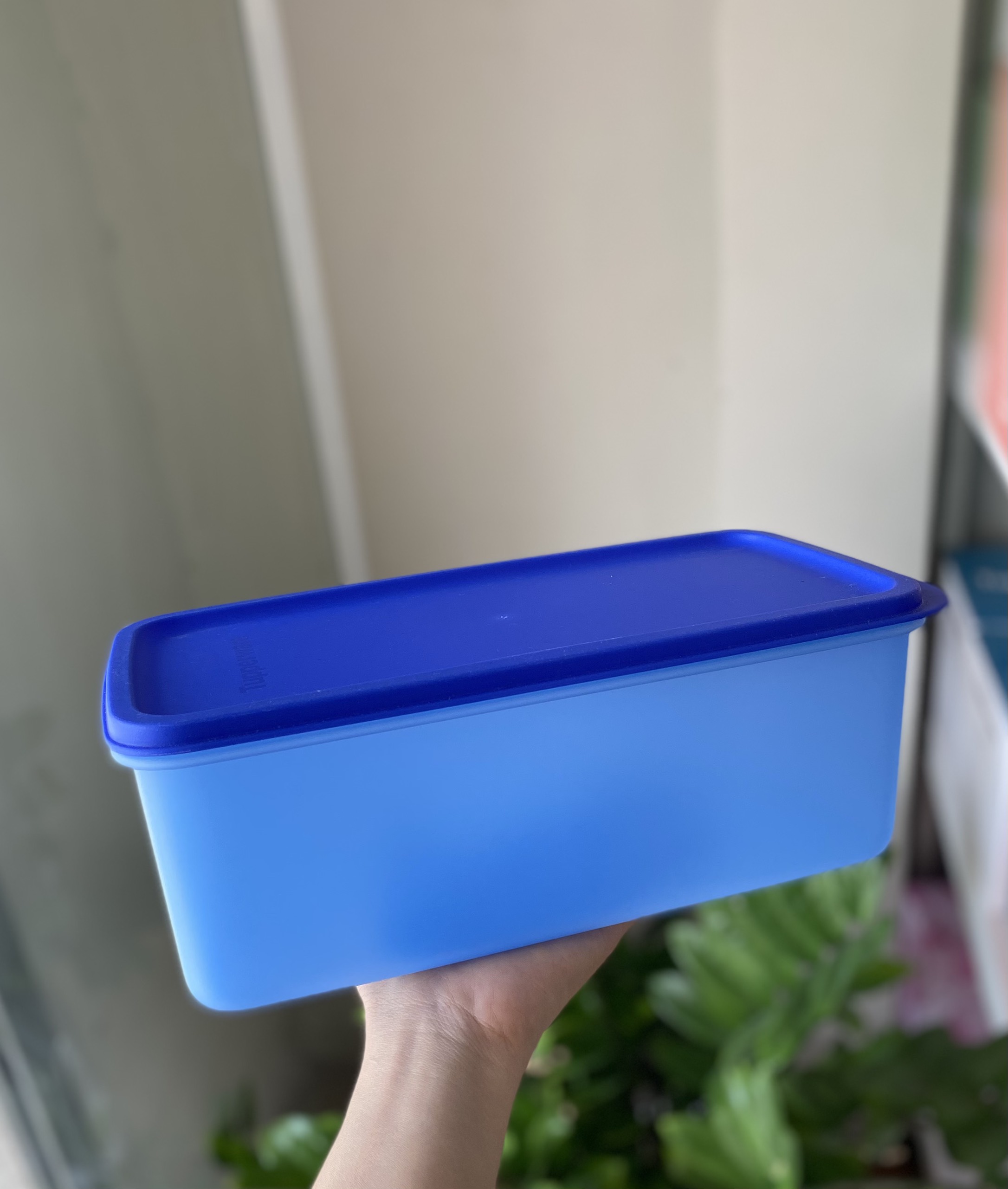 Hộp Lẻ Tách Set Tupperware Ngăn Mát ( 1 hộp )