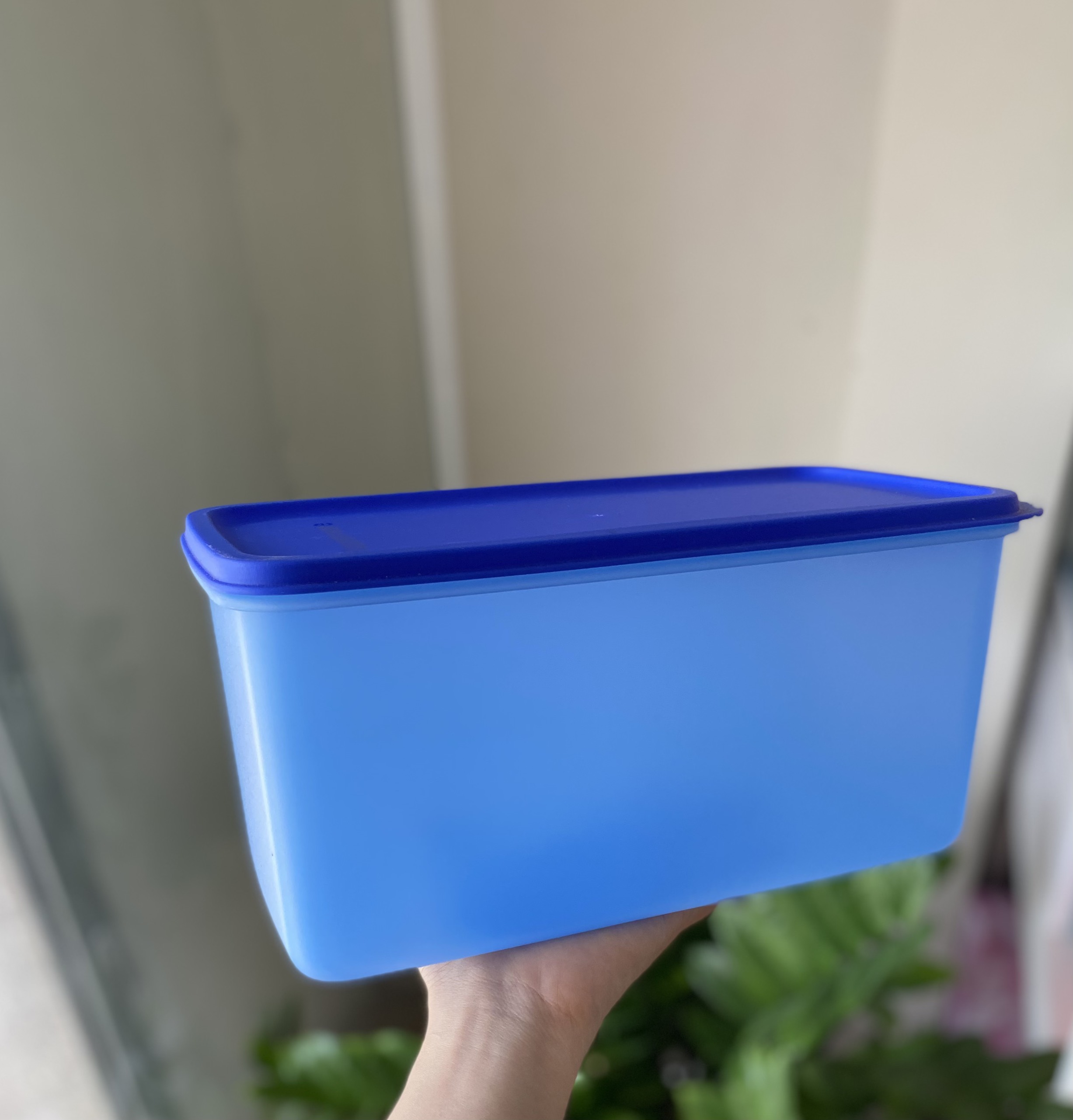 Hộp Lẻ Tách Set Tupperware Ngăn Mát ( 1 hộp )