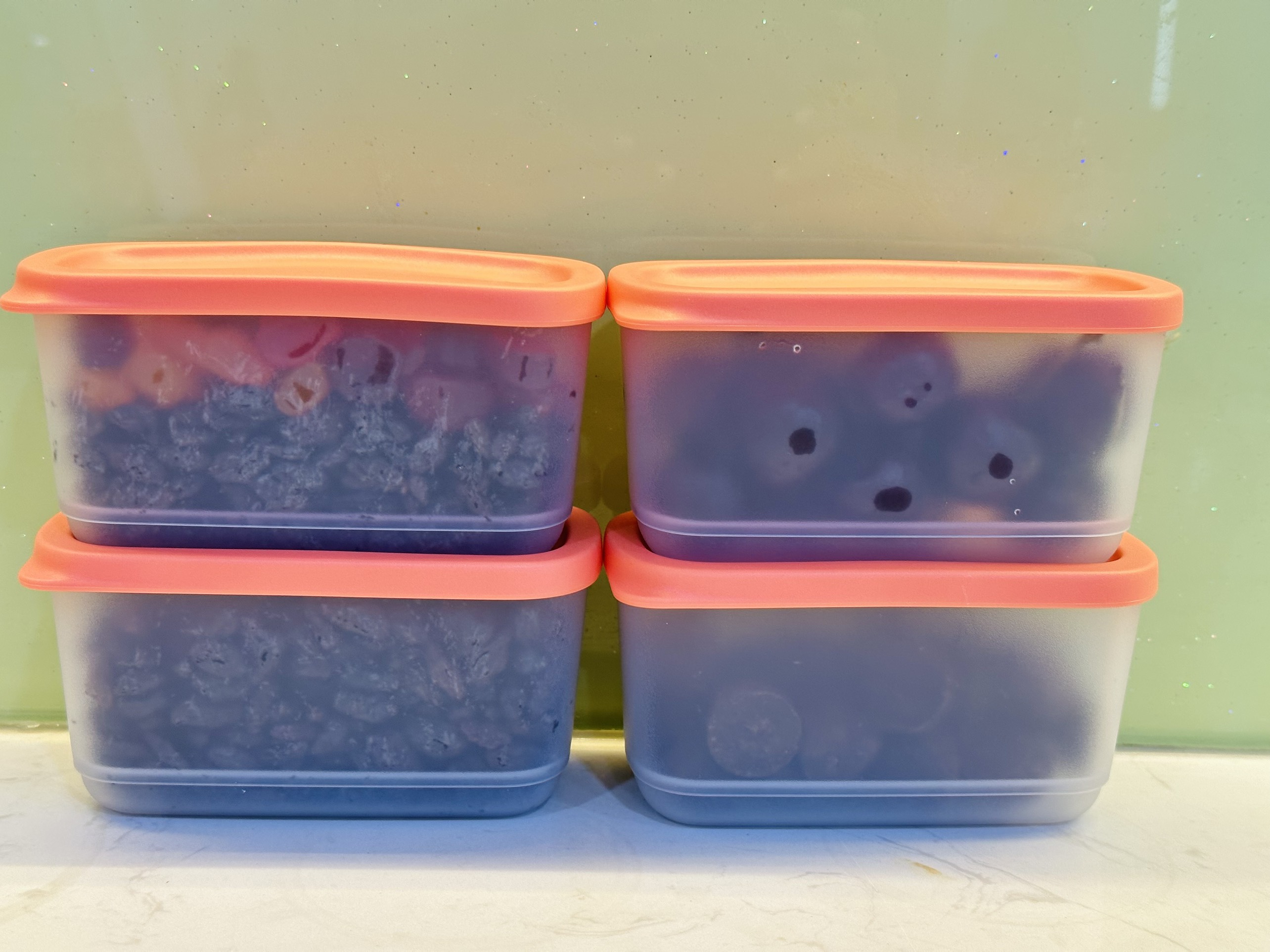Bộ Hộp Tupperware Bảo Quản Thực Phẩm Mini Rectangular (4 hộp)