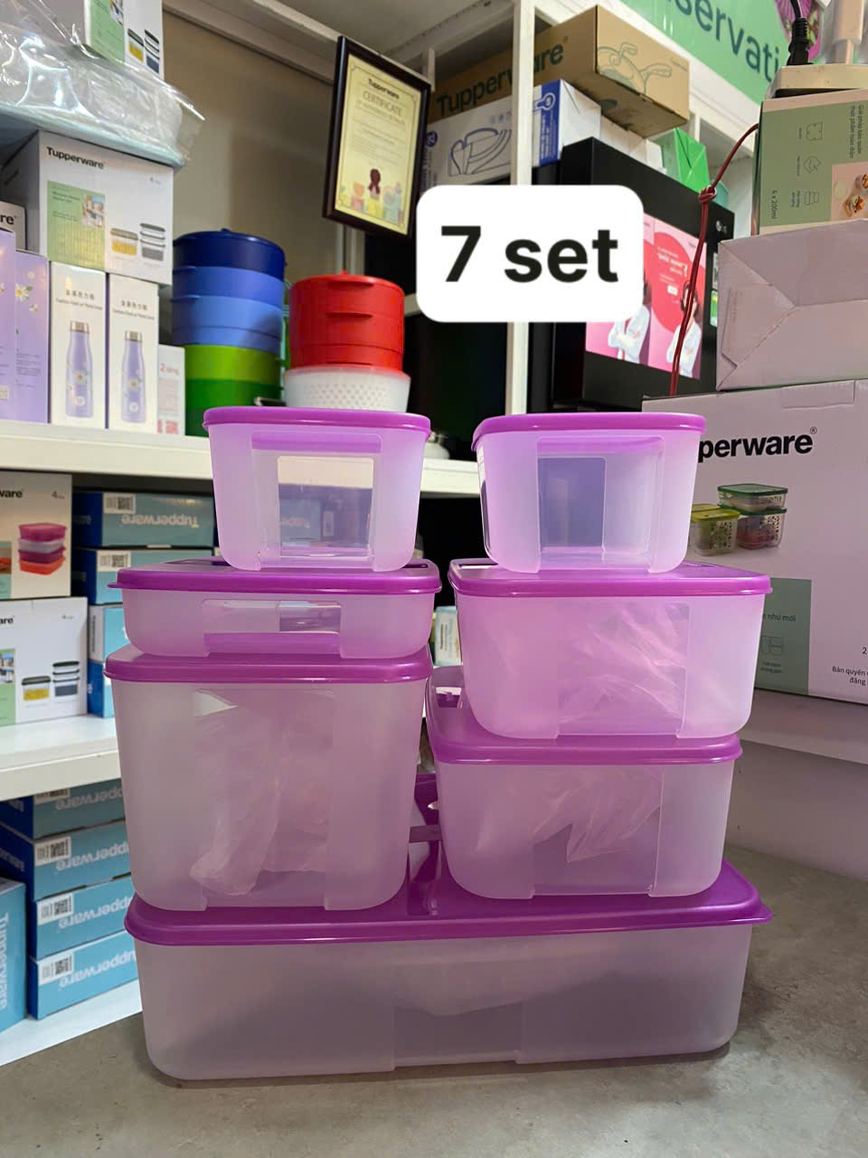 Tupmalay - Hộp Đông Tupperware Nắp Tím 3.1L Essential (01 Hộp)
