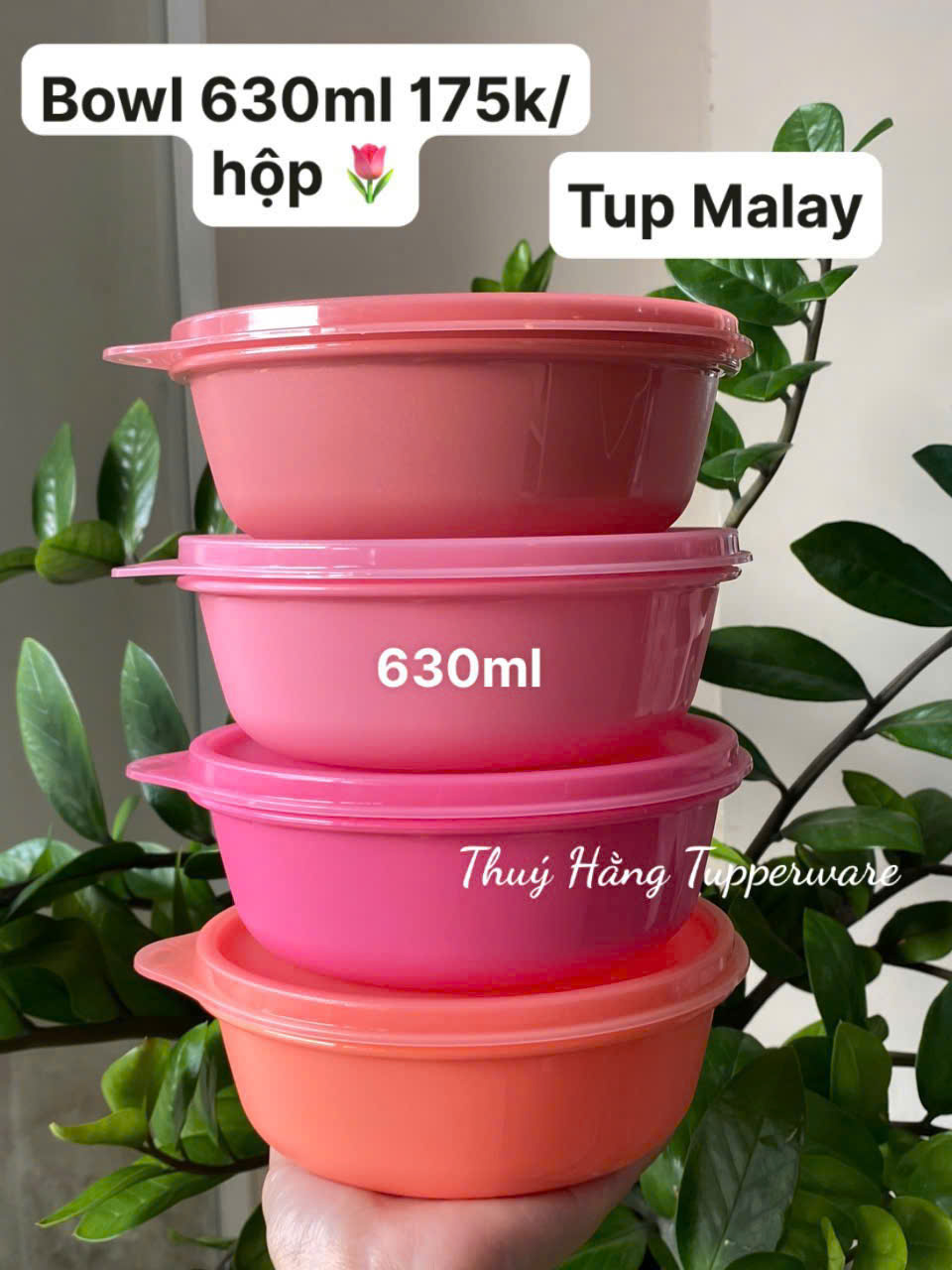 Tupmalay Hộp Bowl Modulal 630ml Màu Hồng Ngẫu Nhiên (01 Hộp)