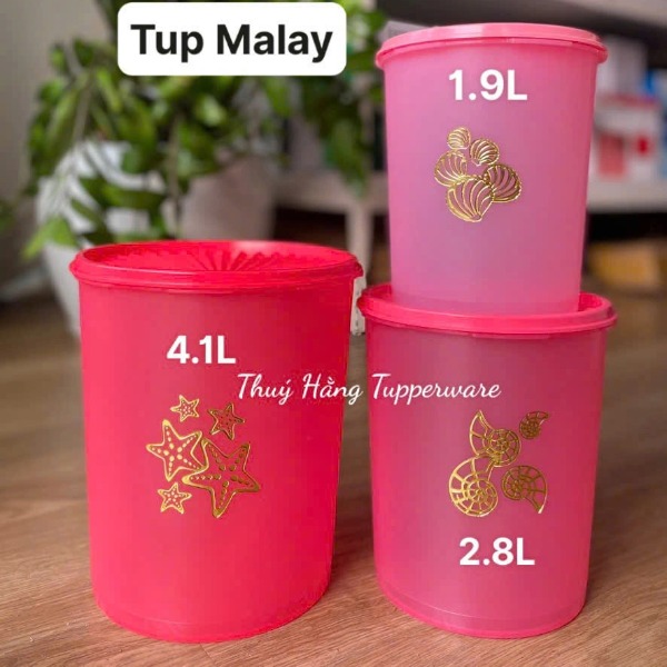 Tupmalay Set Hộp Hình Trụ Khô One Touch Có Hình Giữa Thân (01 Set)