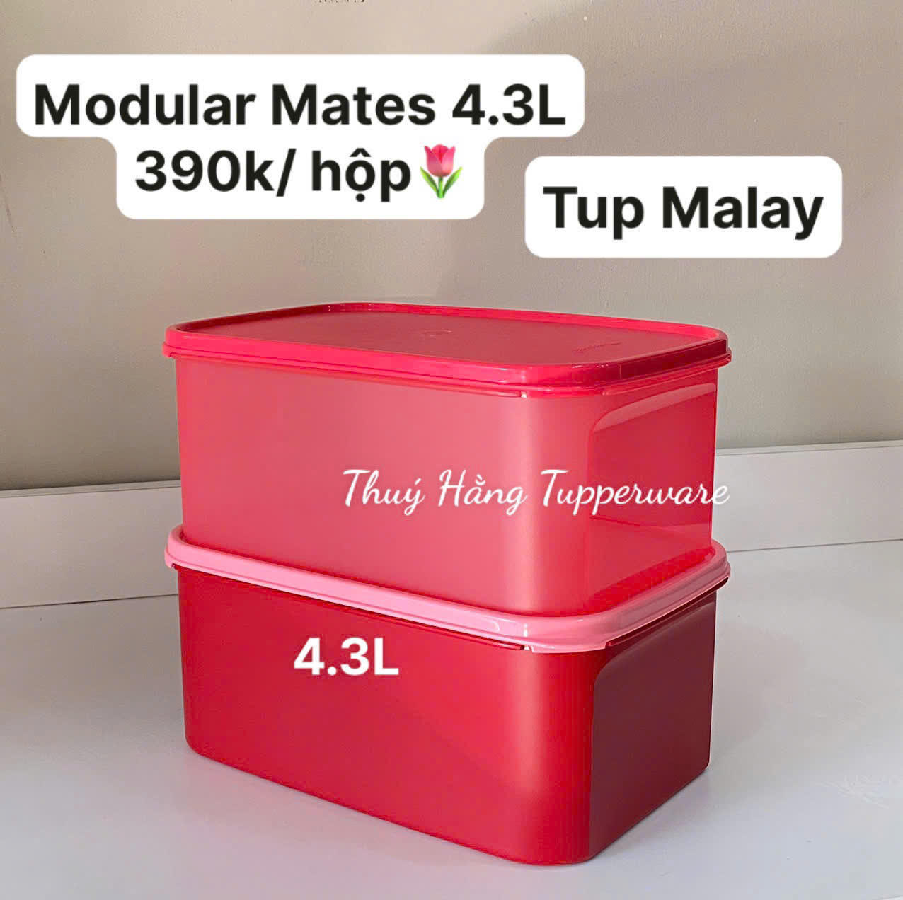 Hộp Tupperware Trữ Mát  Modular Mates Rectangular II 4.3L  - Tuppertware Malaysia Chính Hãng