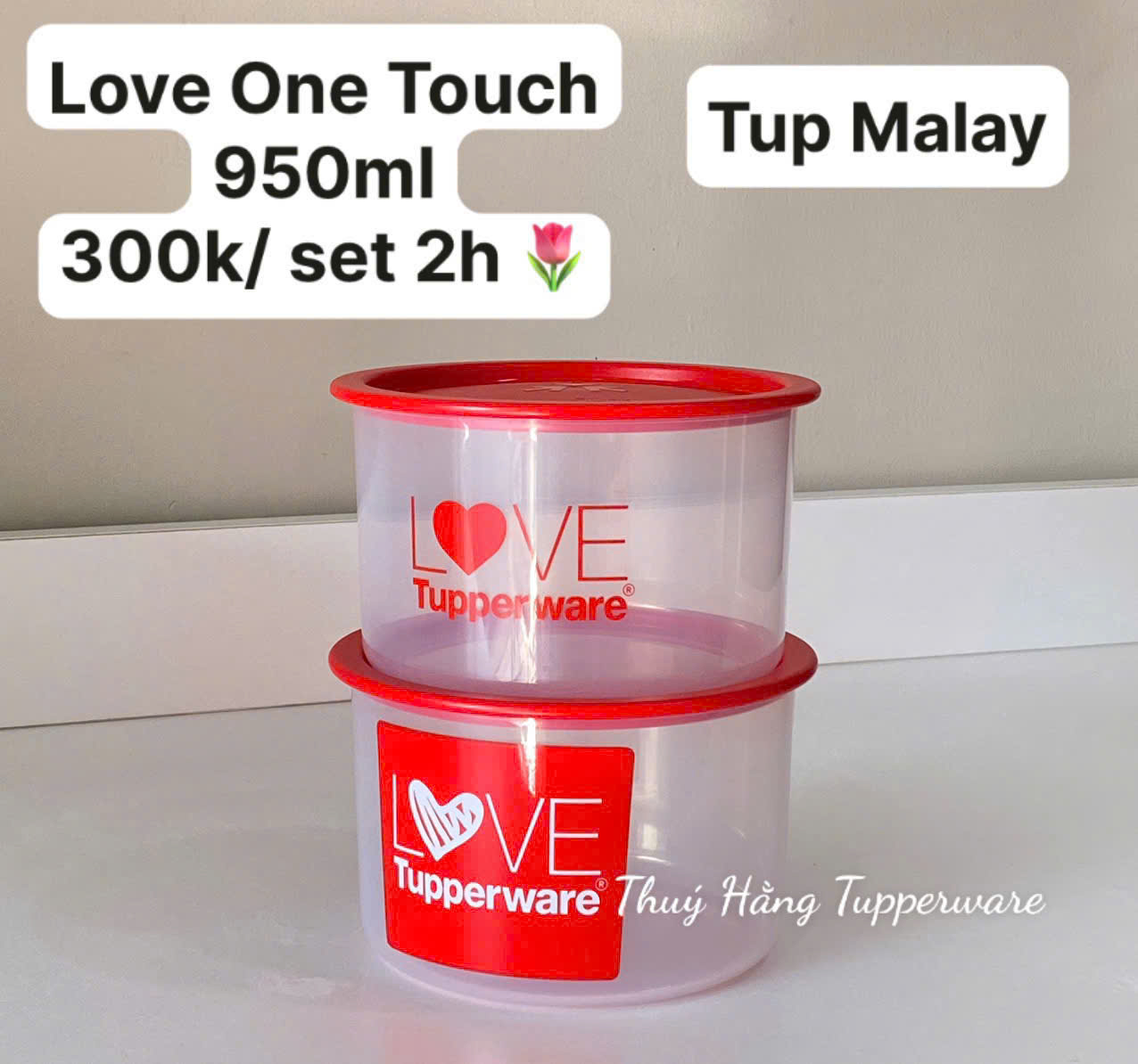 Hộp Tupperware Trữ Mát One Touch 600ml - Đóng Hộp 1 Ấn - Tupperware Malaysia Chính Hãng