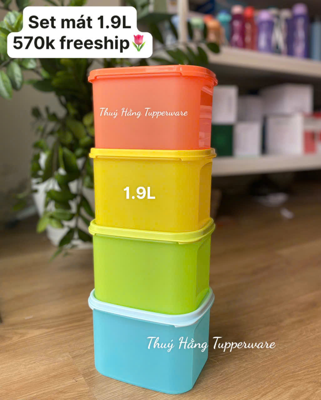 Combo Tuptrung Set 4 Hộp Mát Colorful 1.9L (4 Hộp)