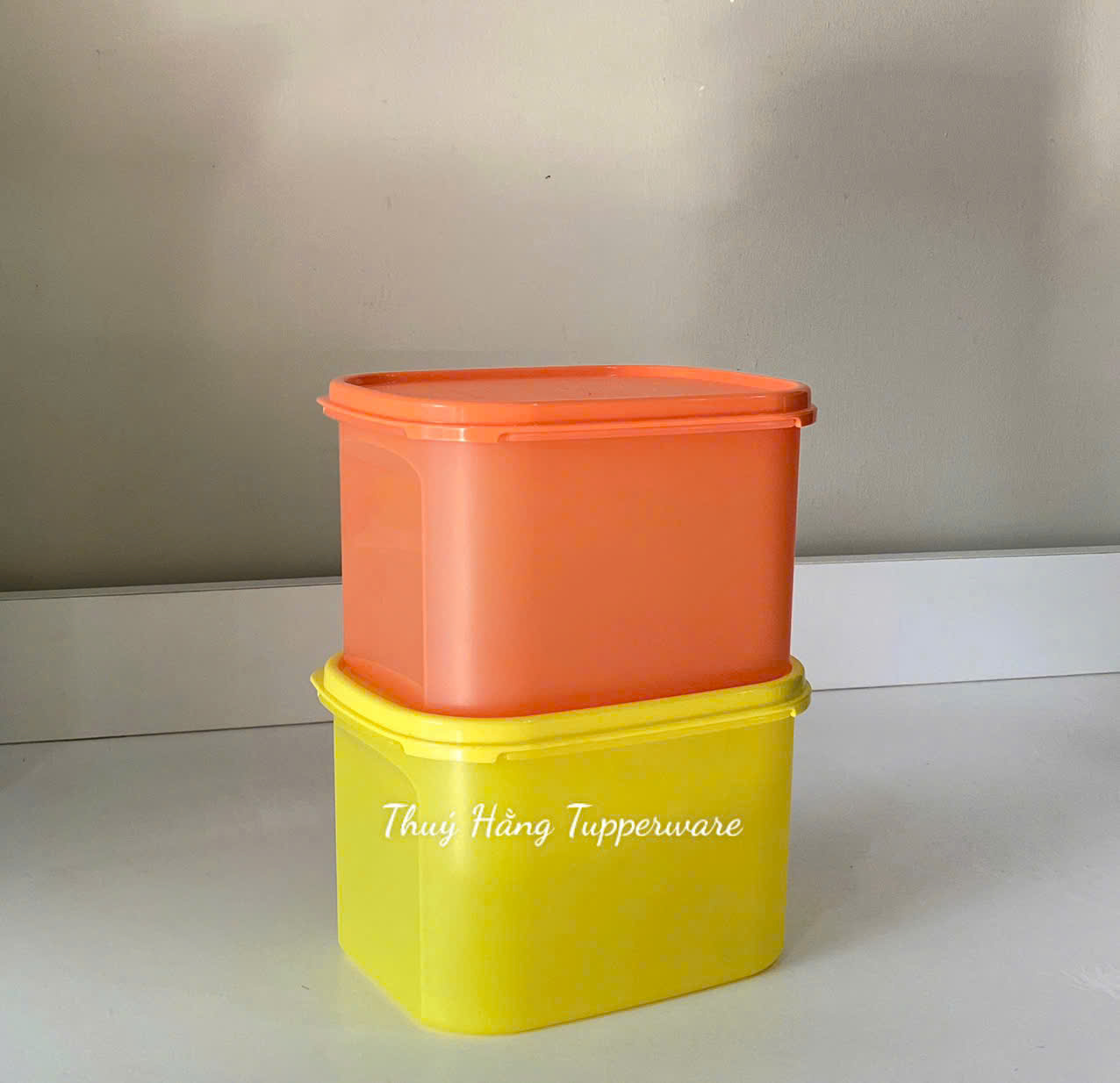 Combo Tuptrung Set 4 Hộp Mát Colorful 1.9L (4 Hộp)