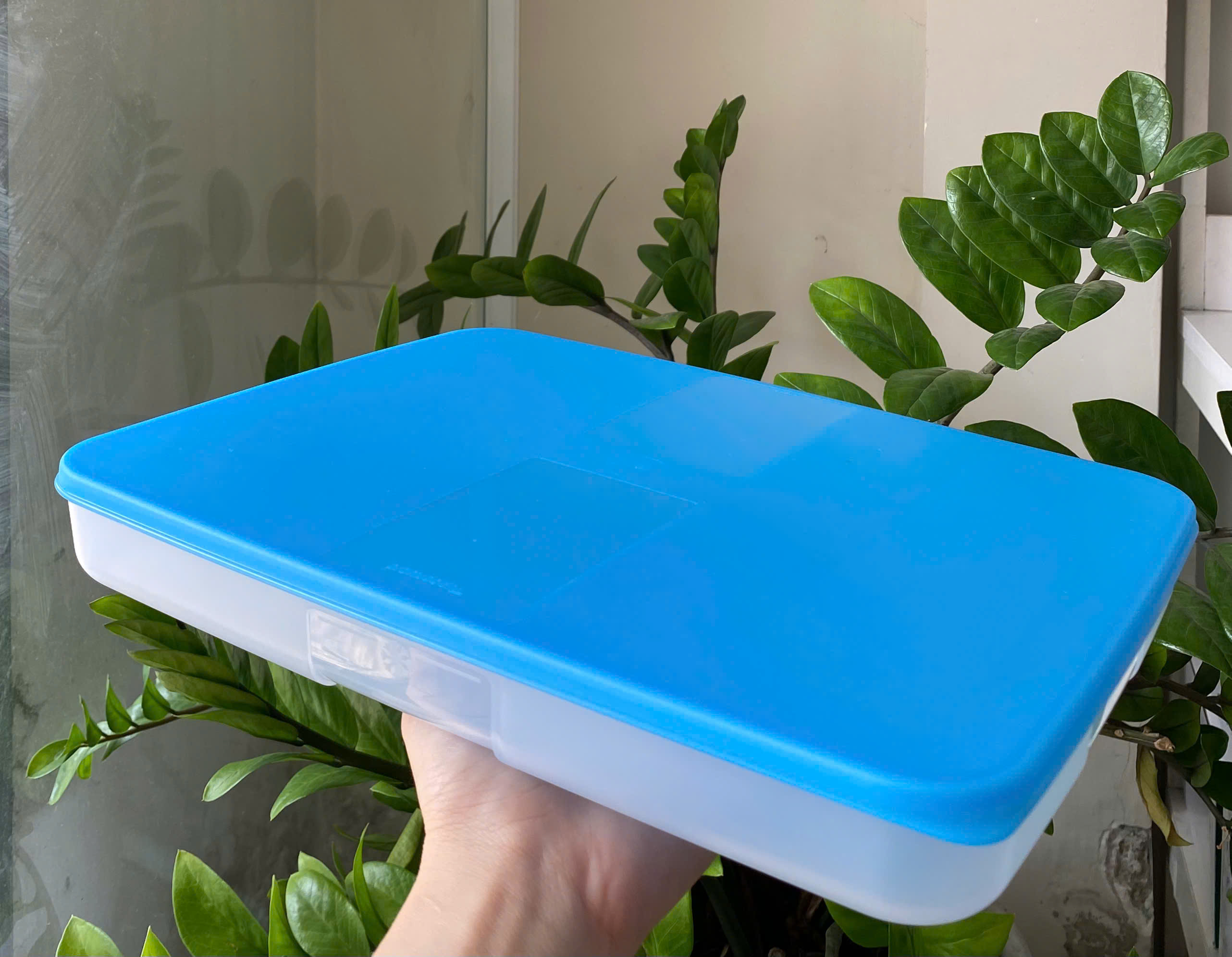 Tuptrung Hộp Đông Nắp Xanh Dương Basic