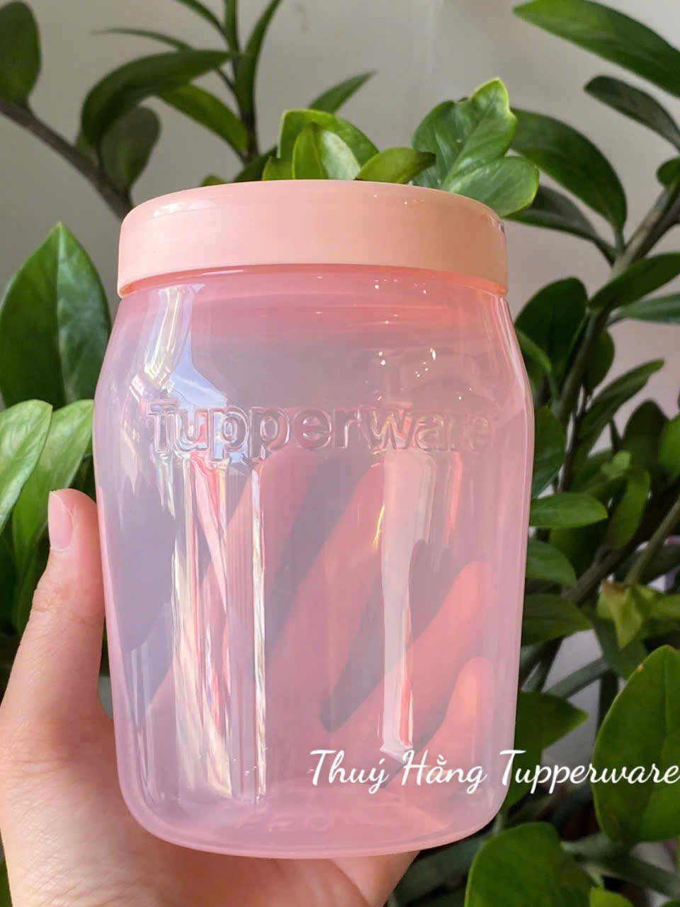 Hộp / Bình Jar đựng trà sữa, nước uống, gia vị...