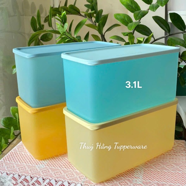 Tuptrung Combo Set 4 Hộp Funtastics 3.1L