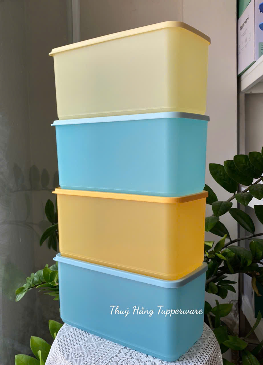 Tuptrung Hộp Lẻ Ngăn Mát Tupperware Funtastic Màu Ngẫu Nhiên 3.1L (01 Hộp)