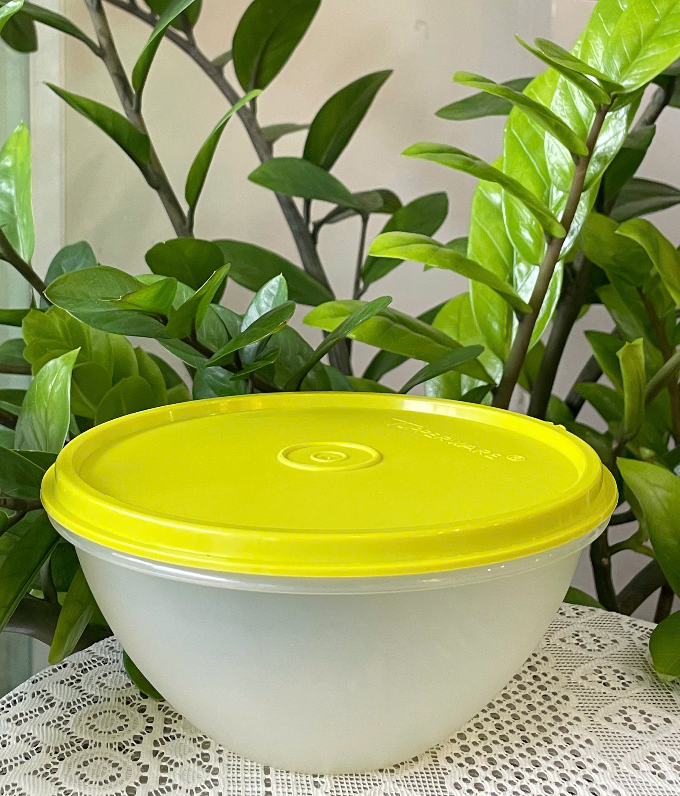 Tuptrung - Tô/Bát Tupperware 800ml