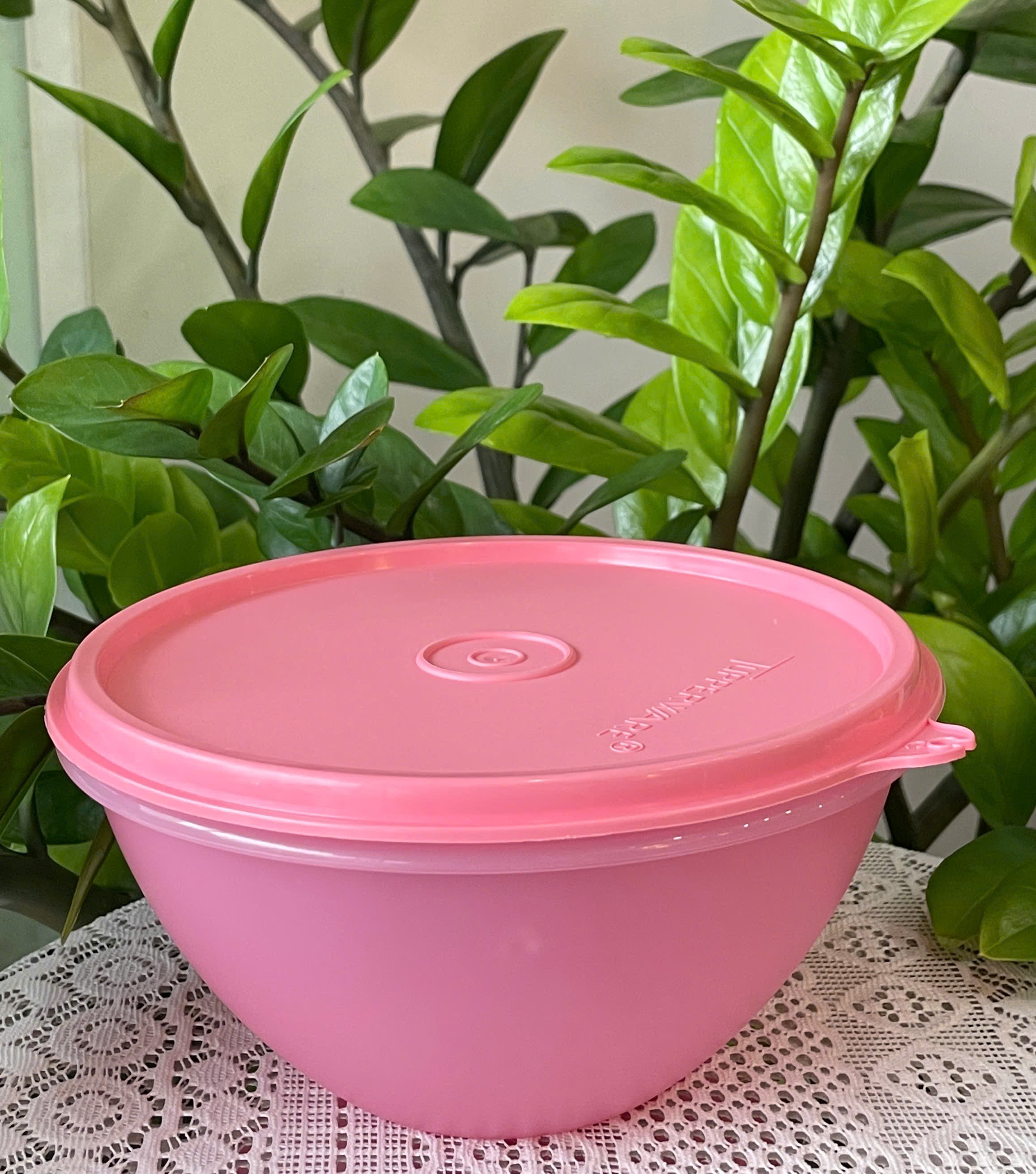 Tuptrung - Tô/Bát Tupperware 800ml