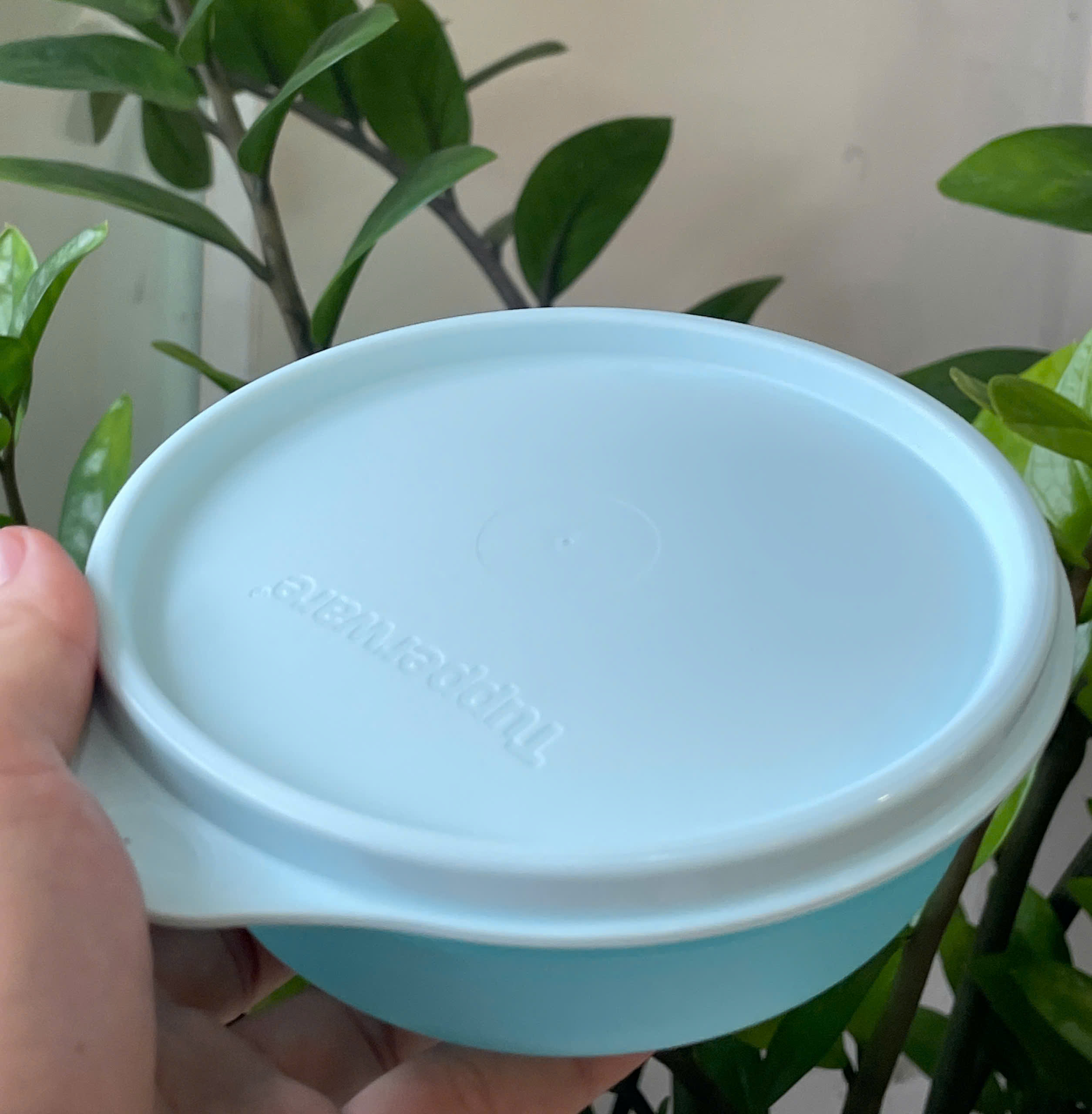 Tuptrung - Set trữ mát và khô Junior Bowl (300ml) - Màu pastel
