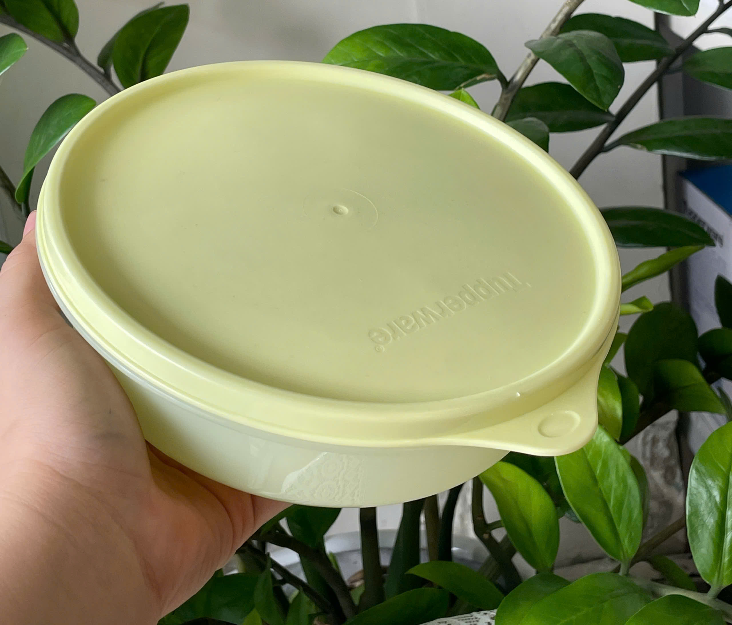 Bộ hộp mát tròn to