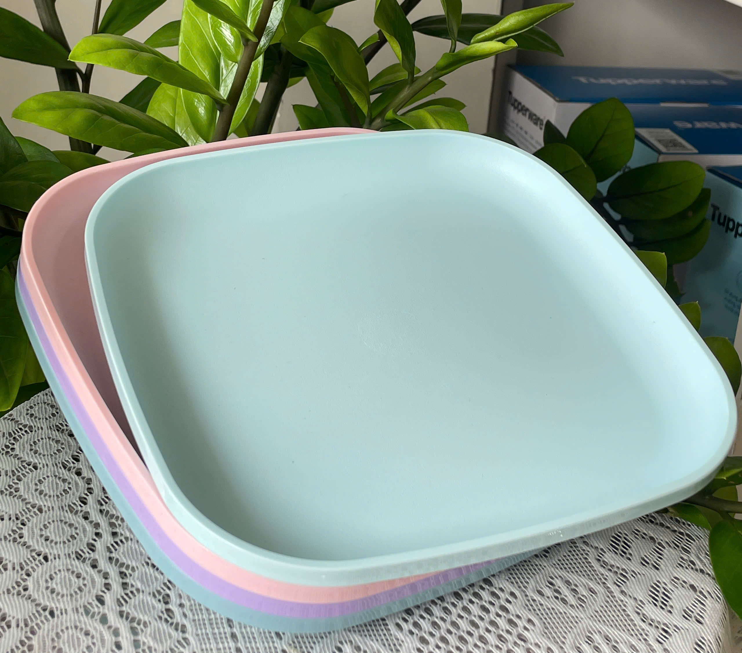 Combo Tuptrung Bộ Đĩa Vuông 20cm 4 Màu